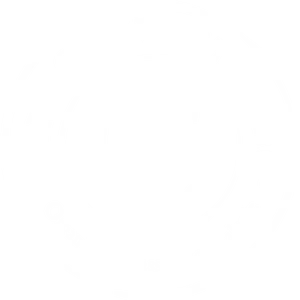 logo-taxi-conv